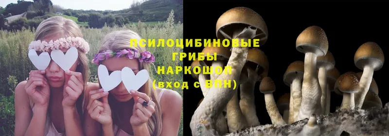 Псилоцибиновые грибы Magic Shrooms  OMG ссылки  Краснокамск 